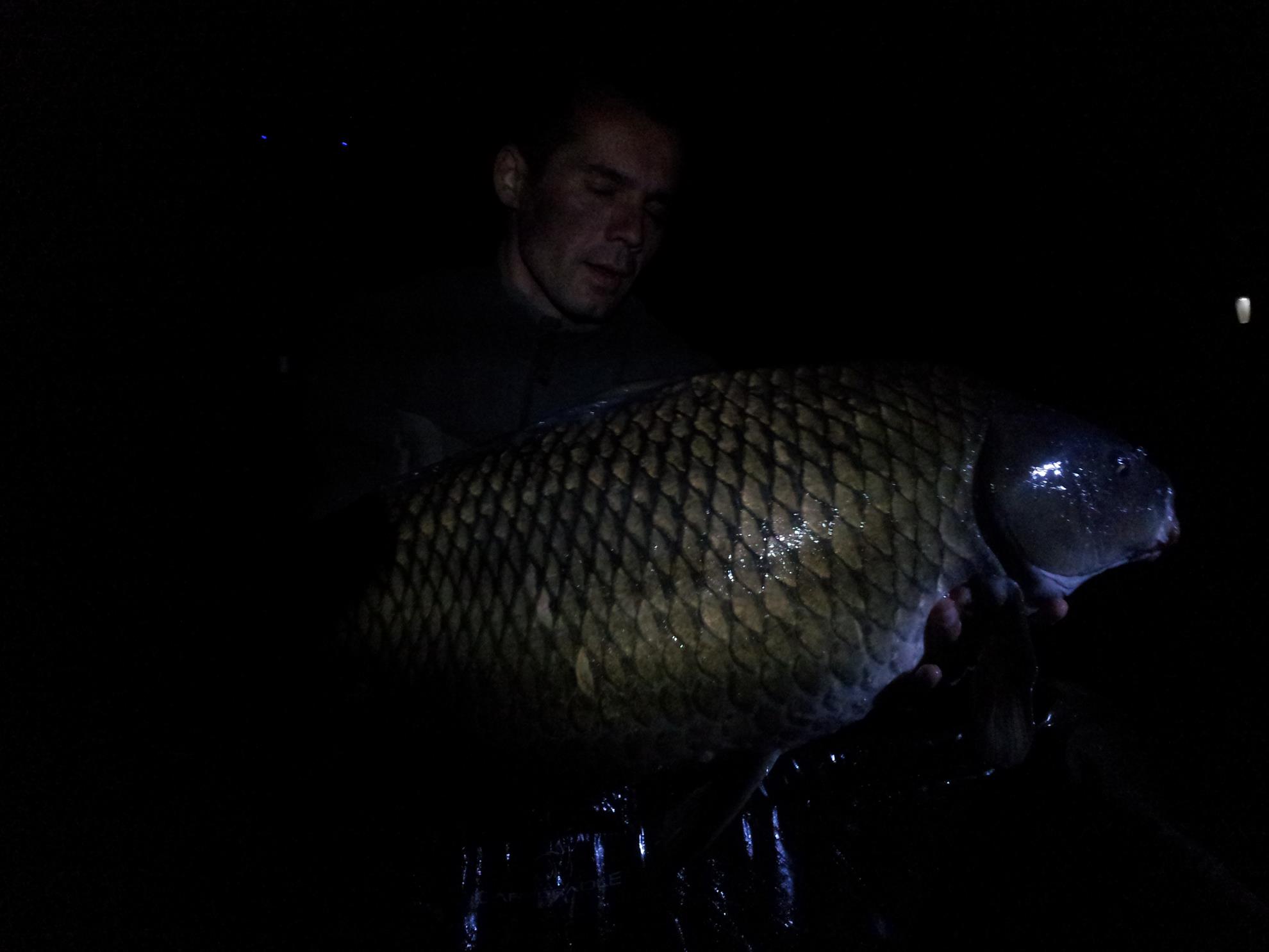 Tancabesti 1 - 4 iunie 2014 - 20140603214151.jpg